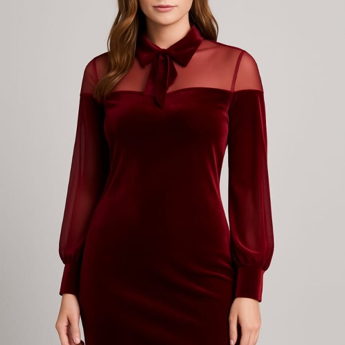 Classy Turkish Velvet Mini Dress with Sheer Sleeves – Burgundy